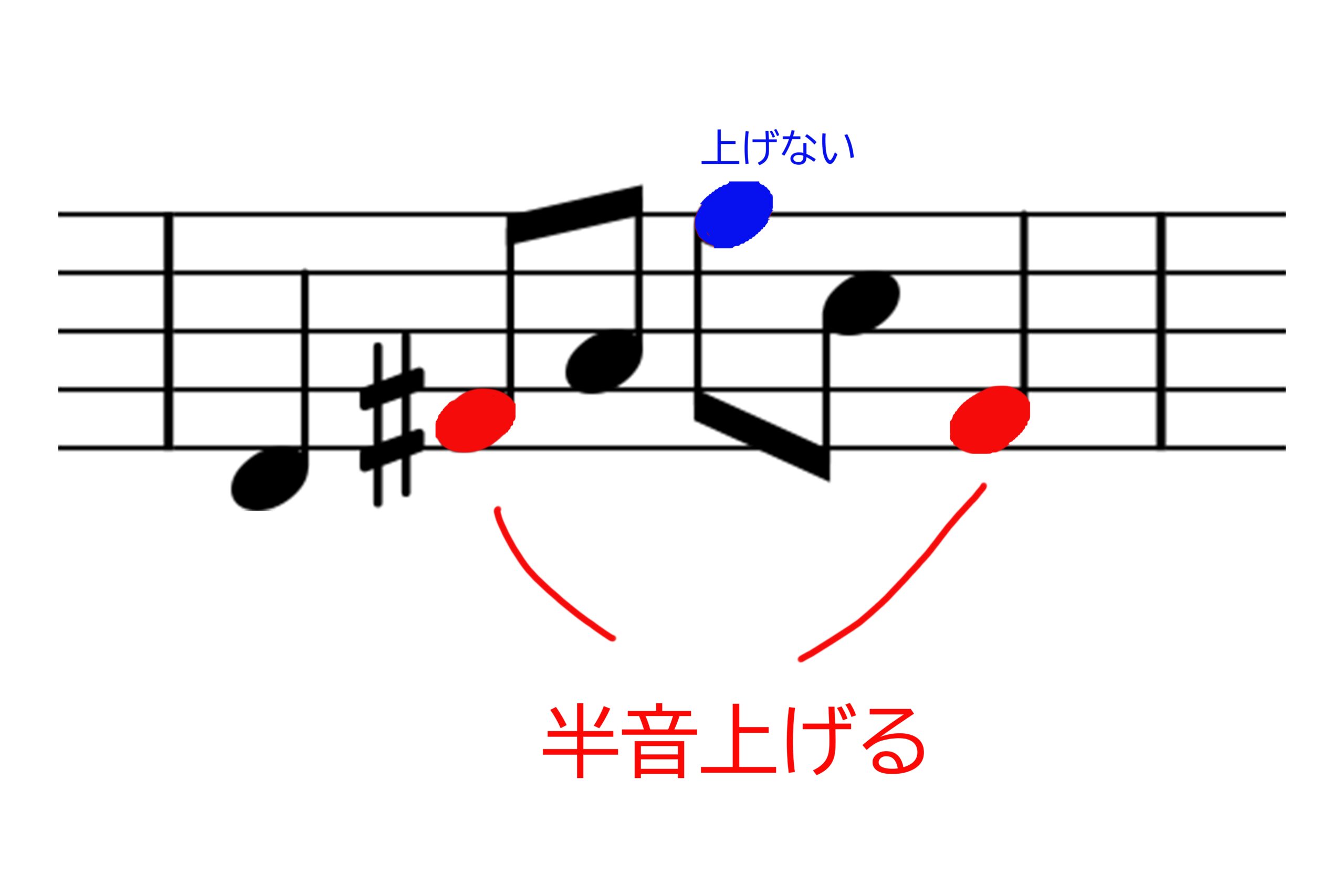 楽譜の読み方 2つの変化記号 調号と臨時記号 のルールについて解説 ゼロからのピアノ